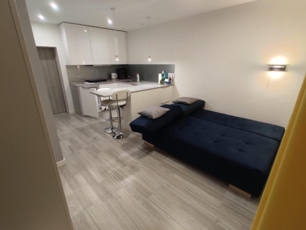 Comfortable Studio Only 20 Minutes From International Conference Center Katowice Best Place For Wuf2022 Eec Tnf Off Etc Siemianowice Śląskie Екстериор снимка